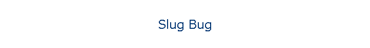 Slug Bug